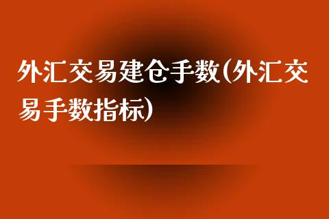 外汇交易建仓手数(外汇交易手数指标)