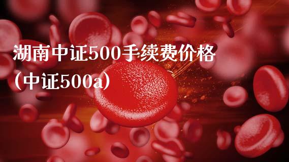 湖南中证500手续费价格(中证500a)