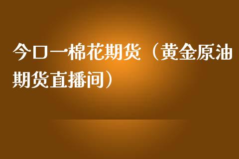 今口一棉花期货（黄金原油期货直播间）