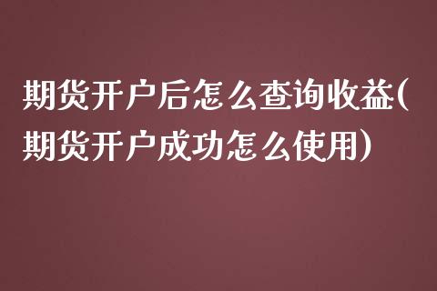 期货开户后怎么查询收益(期货开户成功怎么使用)