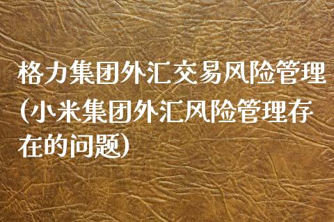 格力集团外汇交易风险管理(小米集团外汇风险管理存在的问题)