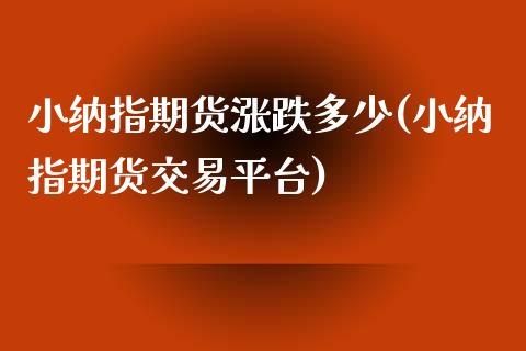 小纳指期货涨跌多少(小纳指期货交易平台)