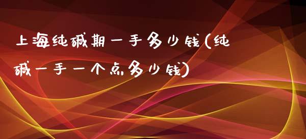 上海纯碱期一手多少钱(纯碱一手一个点多少钱)