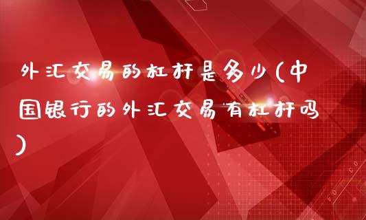 外汇交易的杠杆是多少(中国银行的外汇交易有杠杆吗)