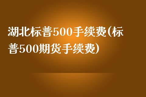 湖北标普500手续费(标普500期货手续费)