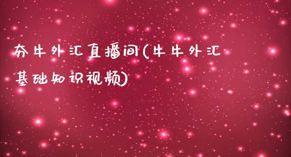 夯牛外汇直播间(牛牛外汇基础知识视频)