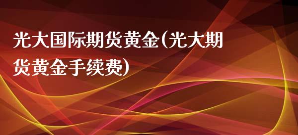 光大国际期货黄金(光大期货黄金手续费)