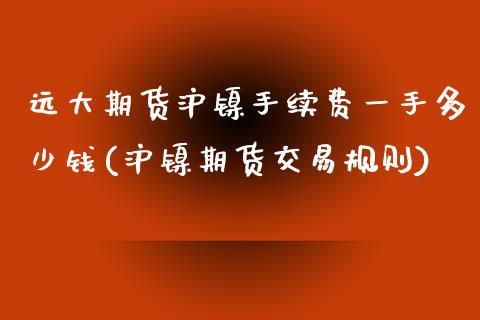 远大期货沪镍手续费一手多少钱(沪镍期货交易规则)