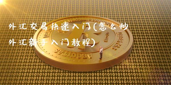 外汇交易快速入门(怎么炒外汇新手入门教程)