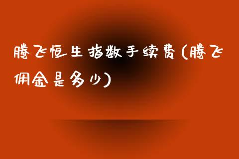 腾飞恒生指数手续费(腾飞佣金是多少)