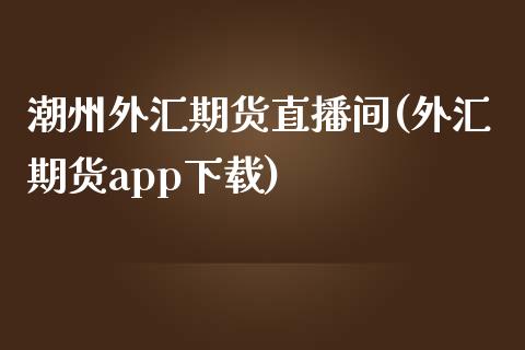 潮州外汇期货直播间(外汇期货app下载)