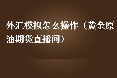 外汇模拟怎么操作（黄金原油期货直播间）