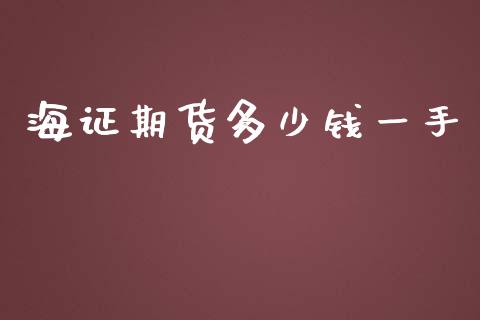 海证期货多少钱一手