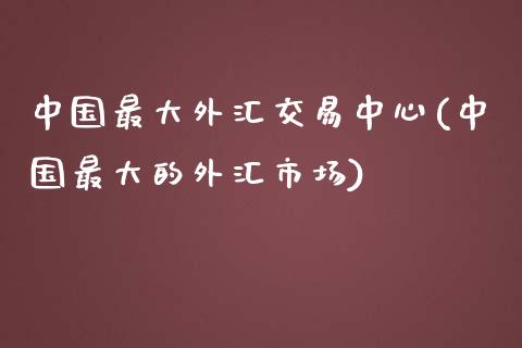 中国最大外汇交易中心(中国最大的外汇市场)