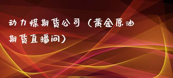 动力煤期货公司（黄金原油期货直播间）