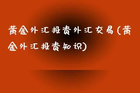 黄金外汇投资外汇交易(黄金外汇投资知识)