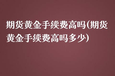 期货黄金手续费高吗(期货黄金手续费高吗多少)