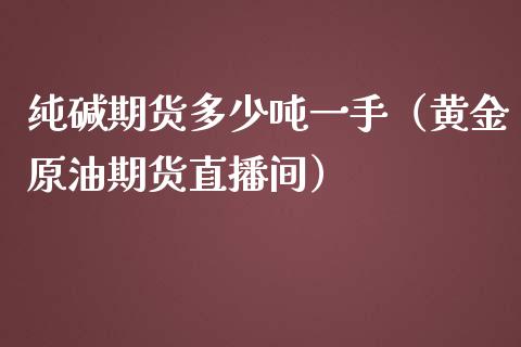 纯碱期货多少吨一手（黄金原油期货直播间）