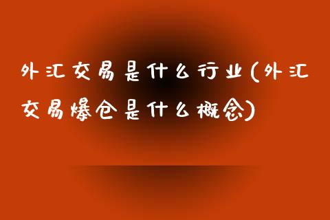 外汇交易是什么行业(外汇交易爆仓是什么概念)