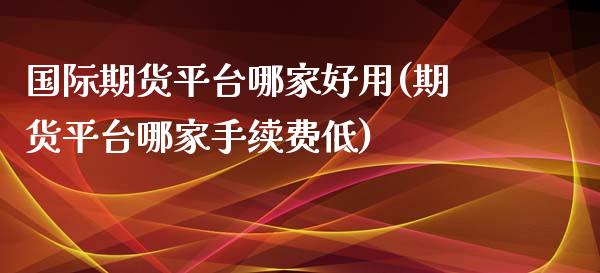 国际期货平台哪家好用(期货平台哪家手续费低)