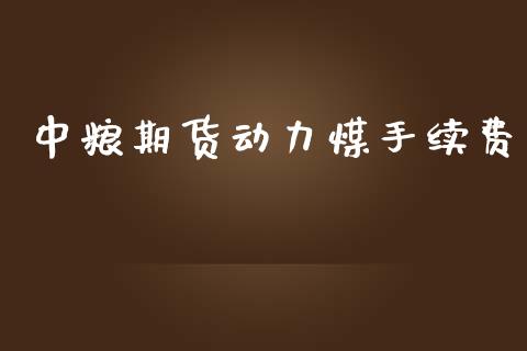 中粮期货动力煤手续费