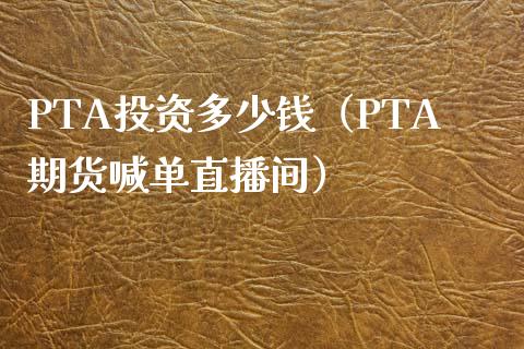 PTA投资多少钱（PTA期货喊单直播间）