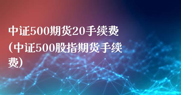 中证500期货20手续费(中证500股指期货手续费)