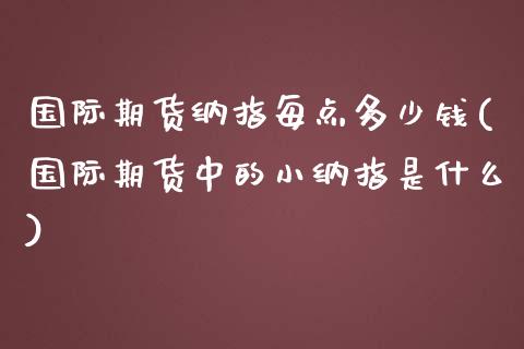 国际期货纳指每点多少钱(国际期货中的小纳指是什么)