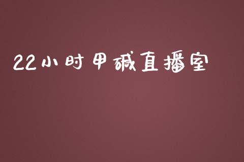 22小时甲碱直播室