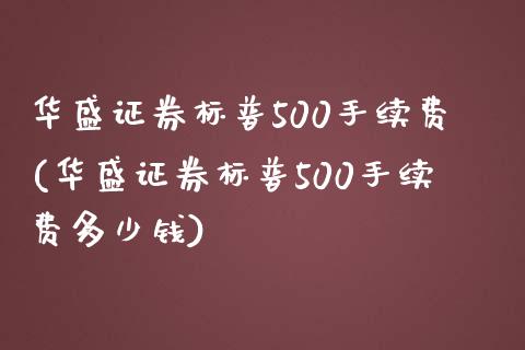 华盛证券标普500手续费(华盛证券标普500手续费多少钱)