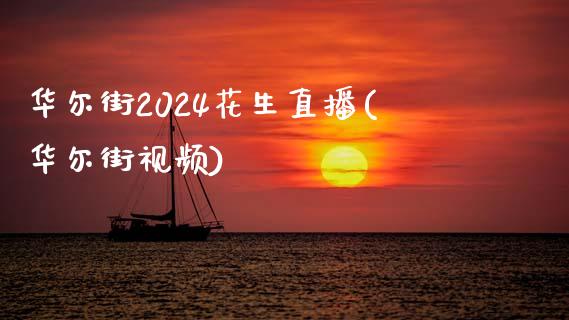 华尔街2024花生直播(华尔街视频)