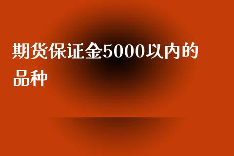 期货保证金5000以内的品种