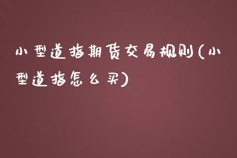 小型道指期货交易规则(小型道指怎么买)