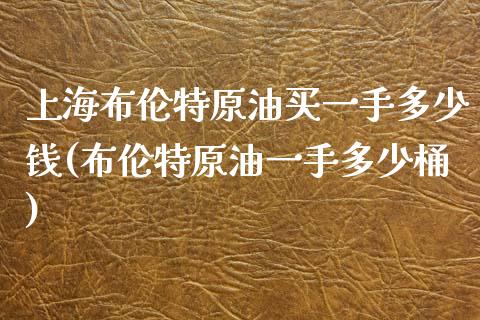 上海布伦特原油买一手多少钱(布伦特原油一手多少桶)