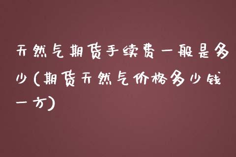 天然气期货手续费一般是多少(期货天然气价格多少钱一方)