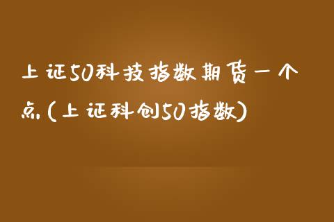 上证50科技指数期货一个点(上证科创50指数)