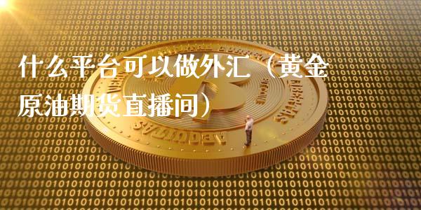 什么平台可以做外汇（黄金原油期货直播间）