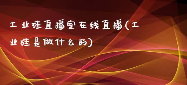 工业硅直播室在线直播(工业硅是做什么的)