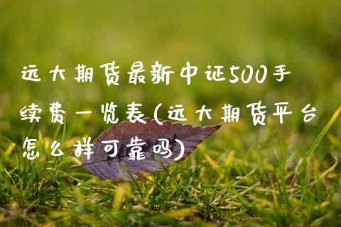 远大期货最新中证500手续费一览表(远大期货平台怎么样可靠吗)