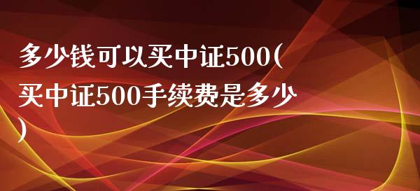 多少钱可以买中证500(买中证500手续费是多少)